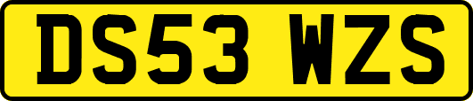 DS53WZS