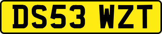 DS53WZT