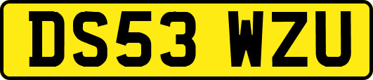 DS53WZU