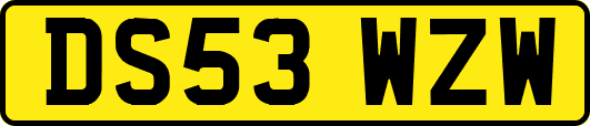 DS53WZW