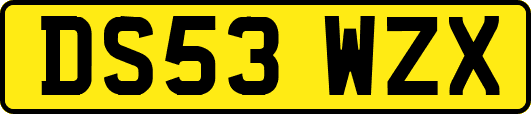 DS53WZX