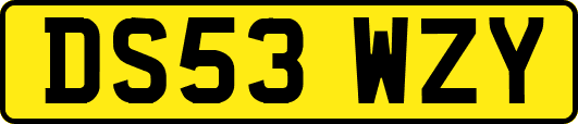 DS53WZY