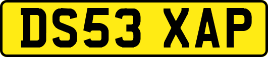 DS53XAP