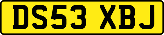 DS53XBJ