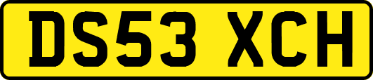 DS53XCH