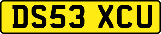 DS53XCU