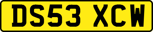 DS53XCW
