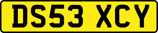 DS53XCY