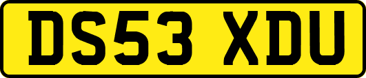DS53XDU