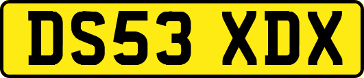 DS53XDX