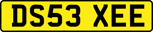 DS53XEE