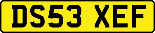 DS53XEF
