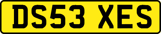DS53XES