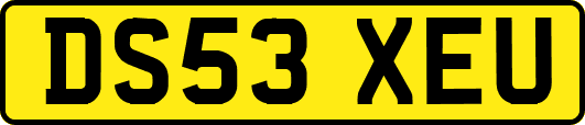 DS53XEU