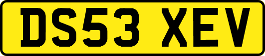 DS53XEV