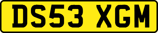 DS53XGM