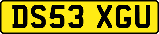 DS53XGU