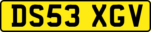 DS53XGV