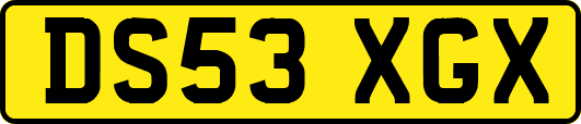 DS53XGX
