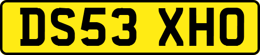 DS53XHO
