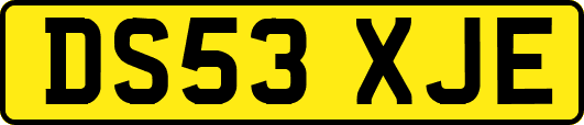 DS53XJE