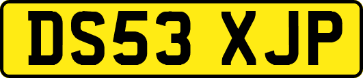 DS53XJP