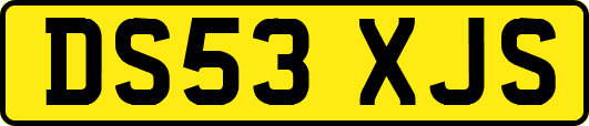 DS53XJS