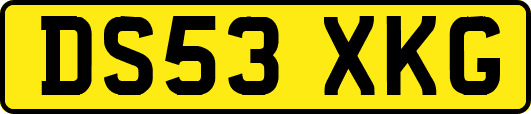 DS53XKG