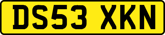 DS53XKN