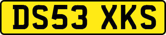 DS53XKS