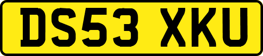 DS53XKU