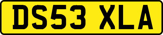 DS53XLA