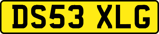 DS53XLG
