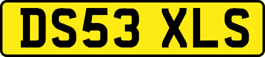 DS53XLS