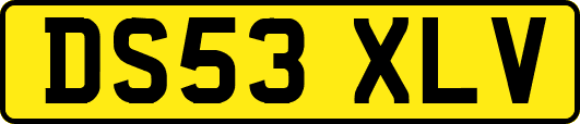 DS53XLV