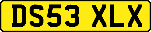 DS53XLX