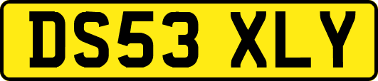 DS53XLY