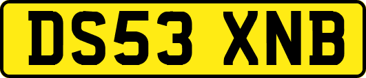 DS53XNB