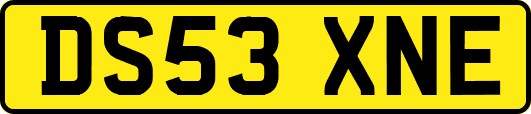 DS53XNE