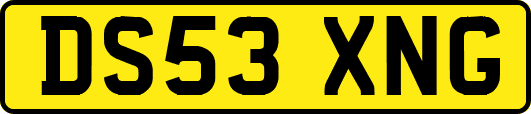 DS53XNG