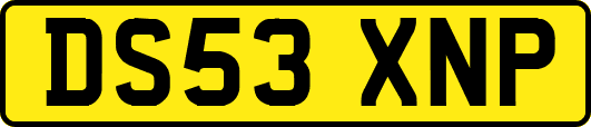 DS53XNP