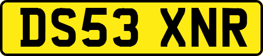 DS53XNR