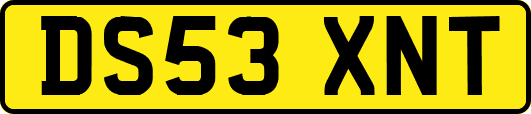DS53XNT