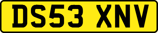 DS53XNV