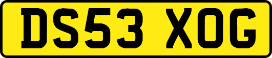 DS53XOG