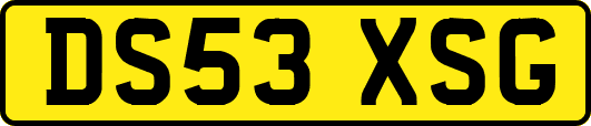 DS53XSG