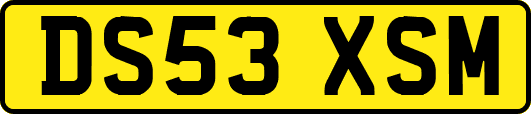 DS53XSM