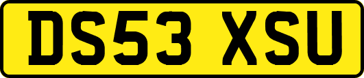 DS53XSU