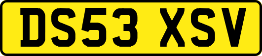 DS53XSV