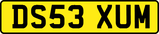 DS53XUM
